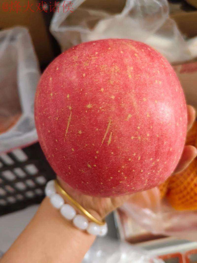 2026世界杯盘口苹果 2026世界杯盘口苹果